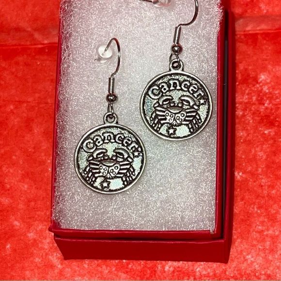 CANCER IRON & SILVER DOUBLE SIDED ZODIAC DROP EARRINGS - Picture 1 of 5